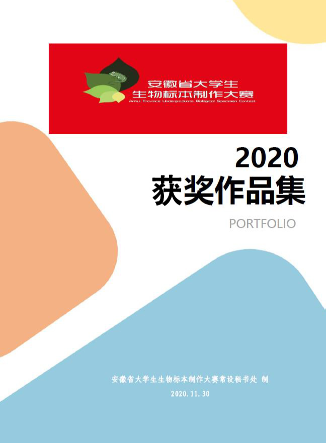 2020年安徽省大学生生物标本制作大赛获奖作品
